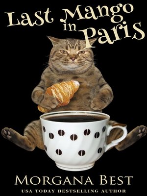 Last Mango in Paris - ebook